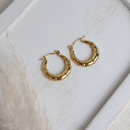 Creolen Edelstahl – Gold (20 mm)